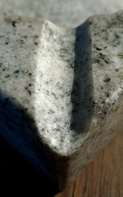 Nordic-Claw Zigarrenaschenbecher (Unikat)